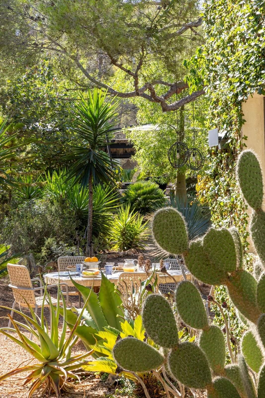 Outdoor breakfast table glimpsed through prickly pear cactus, agave and yucca palms