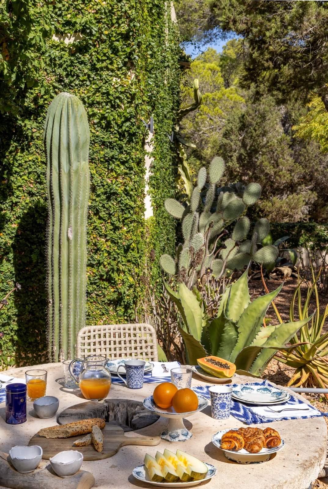 Breakfast table with pastries and fruit beside an ivy-covered wall and tall cactus