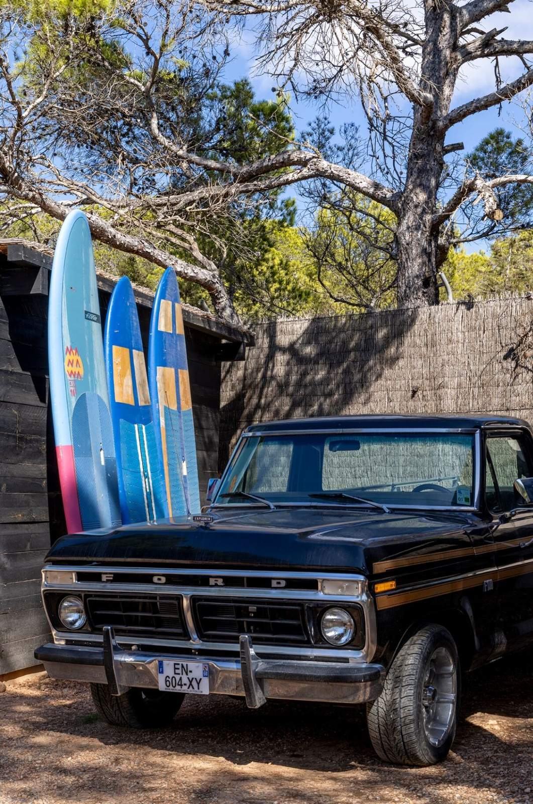 Vintage black Ford pickup truck parked beside a row of surfboards under a pine tree