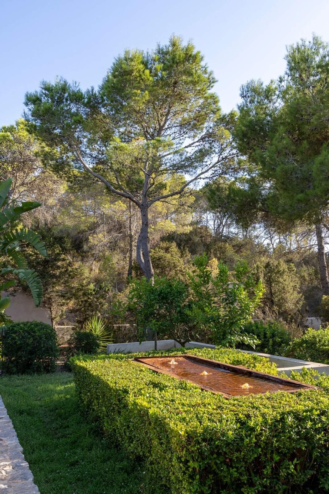 Long rust-toned fountain rill set within clipped green hedges beneath tall pine trees