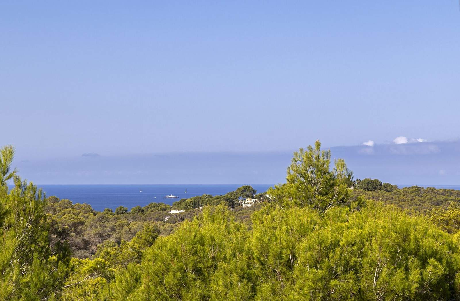 Wide view over pine canopy to the Mediterranean with sailing boats on the horizon
