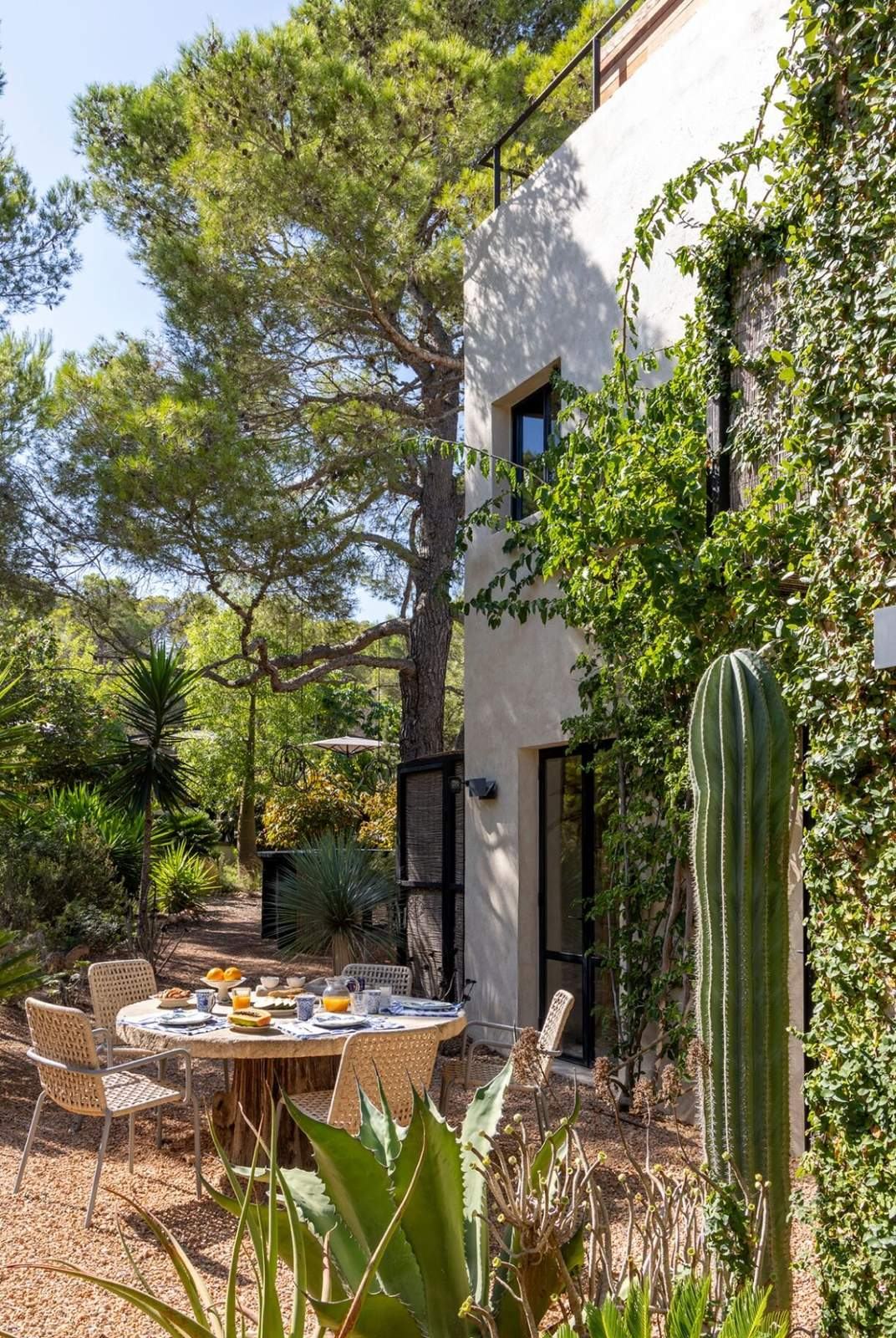 Lime-washed villa façade draped in ivy beside a tall pine, with the breakfast table set in the gravel garden