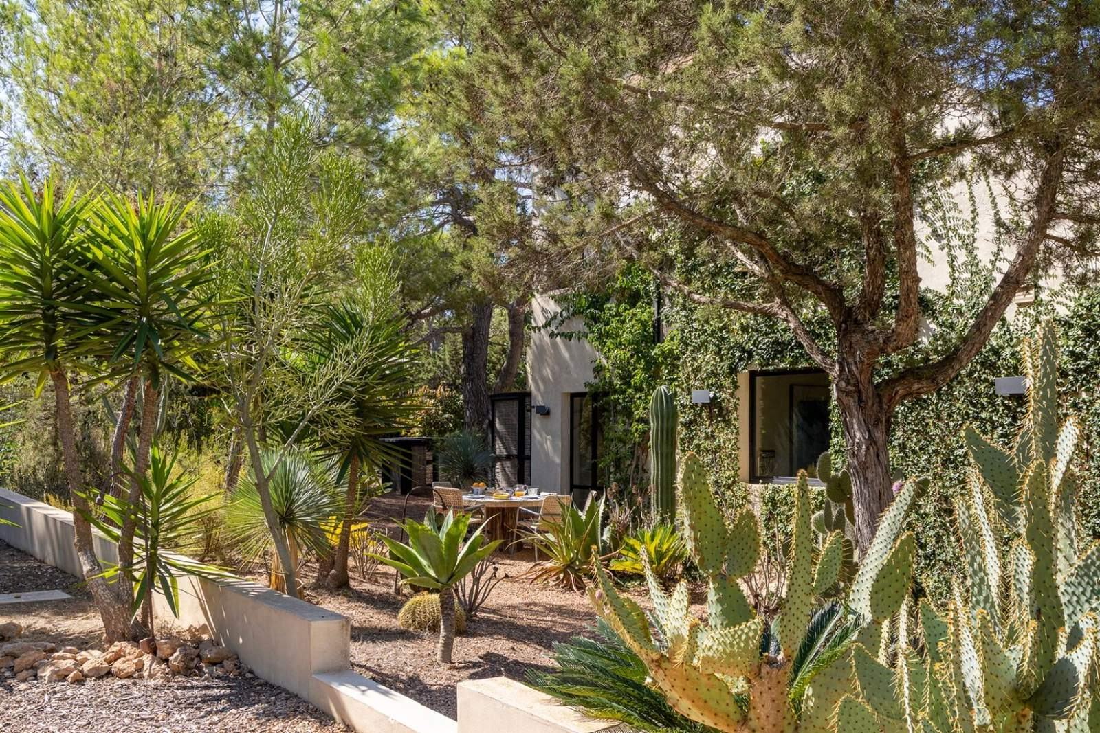Garden path lined with yuccas, agaves and prickly pear cactus leading to the ivy-clad villa