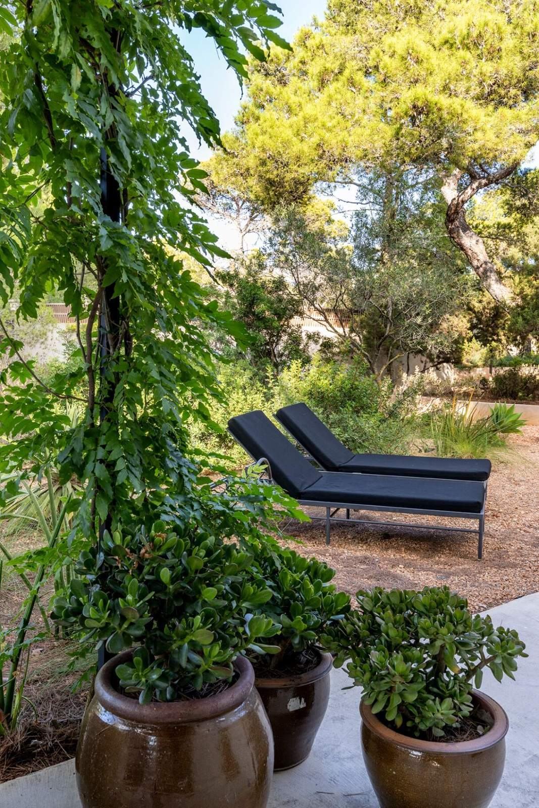 Loungers in the garden outside a guest bedroom