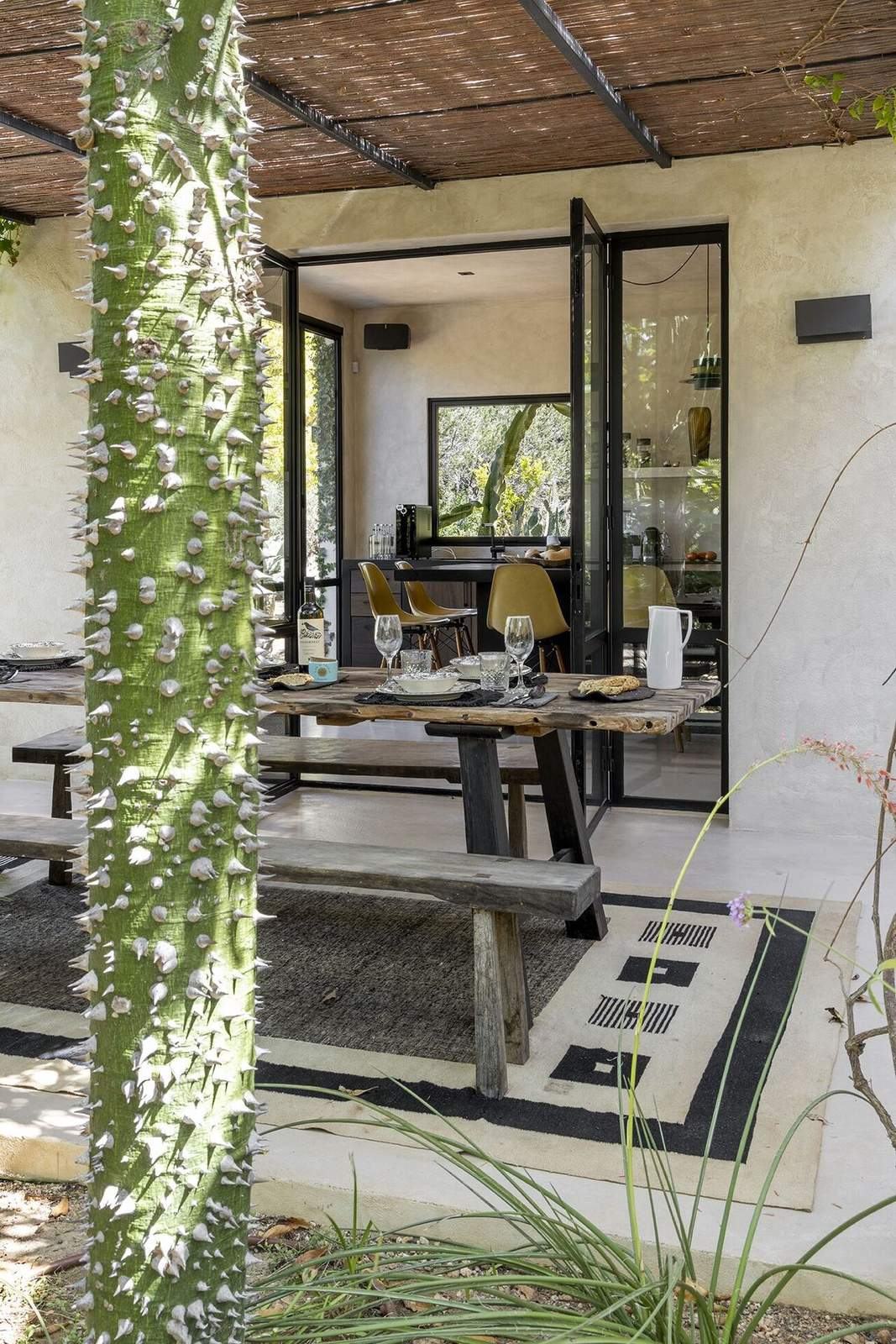 Tall thorned cactus framing open kitchen doors and the outdoor dining table