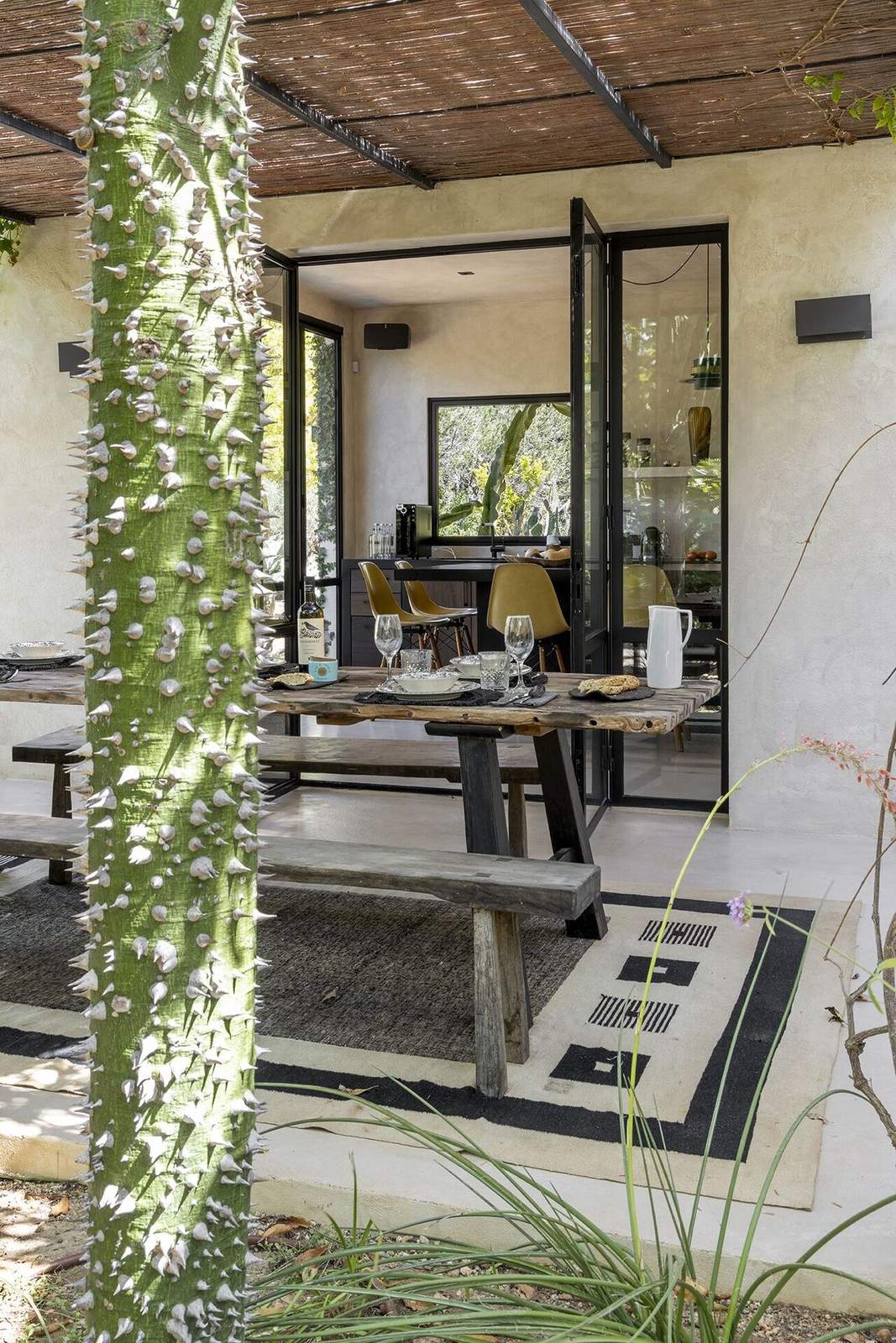 Tall thorned cactus framing open kitchen doors and the outdoor dining table