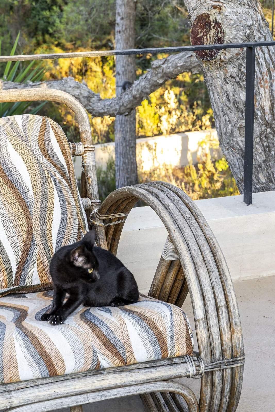 Rattan armchair on the terrace at golden hour