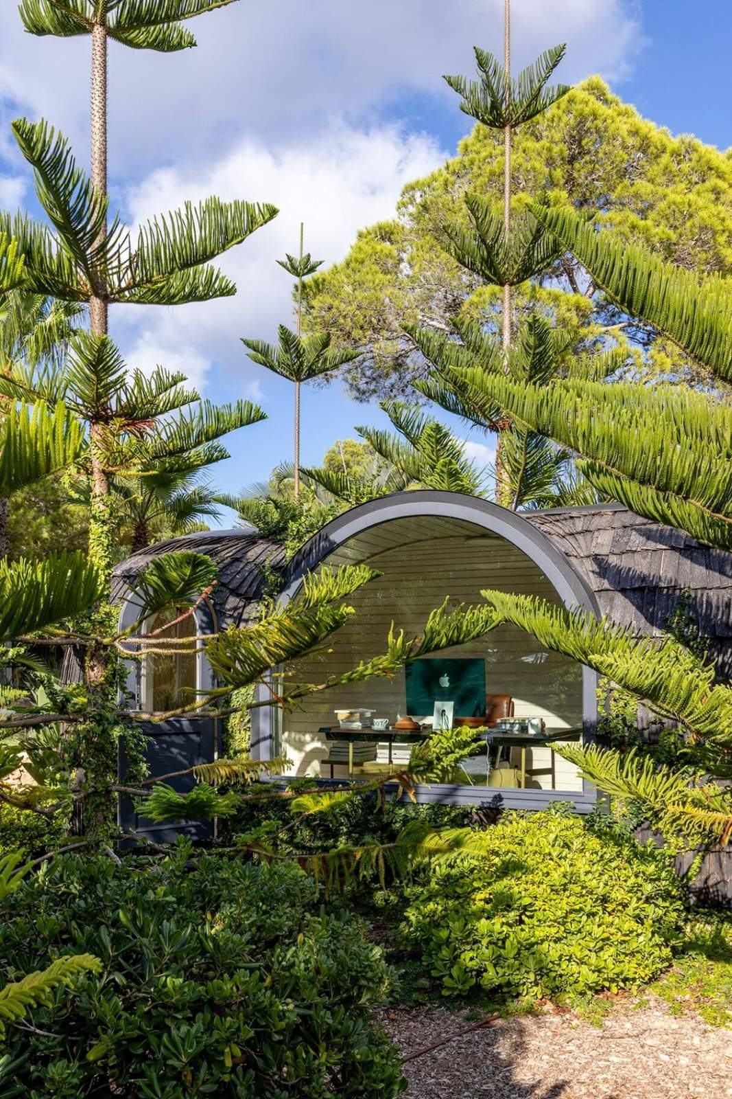 Hand-shingled timber igloo office set among tall Norfolk pines with arched glazing