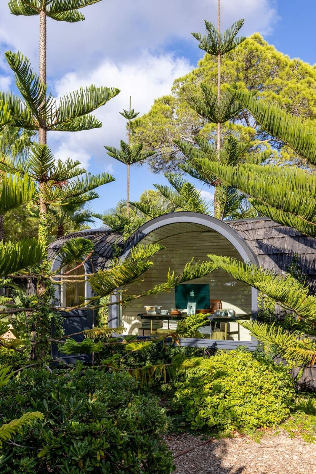 Hand-shingled timber igloo office set among tall Norfolk pines with arched glazing
