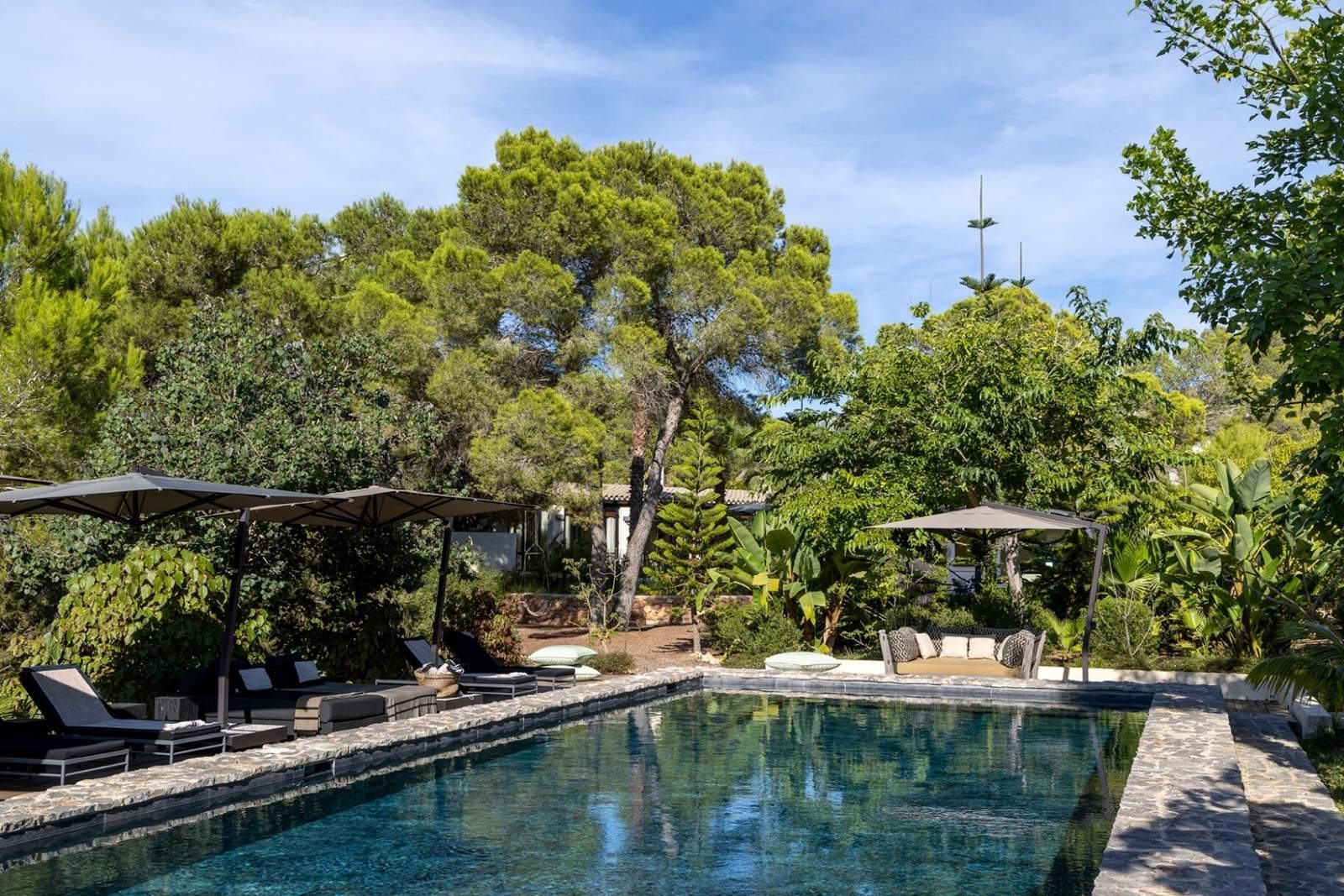 Corner view of the long pool bordered by lush Mediterranean planting and shaded daybeds