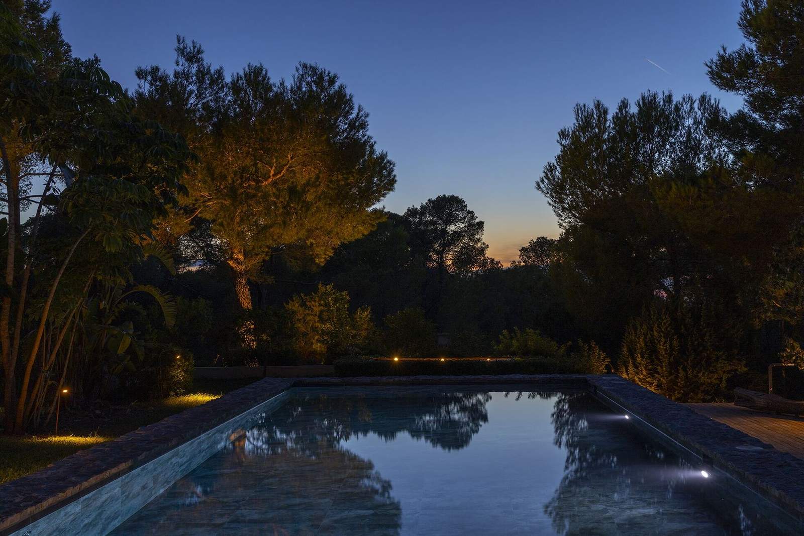 Pool at blue hour reflecting pines and warm uplit foliage