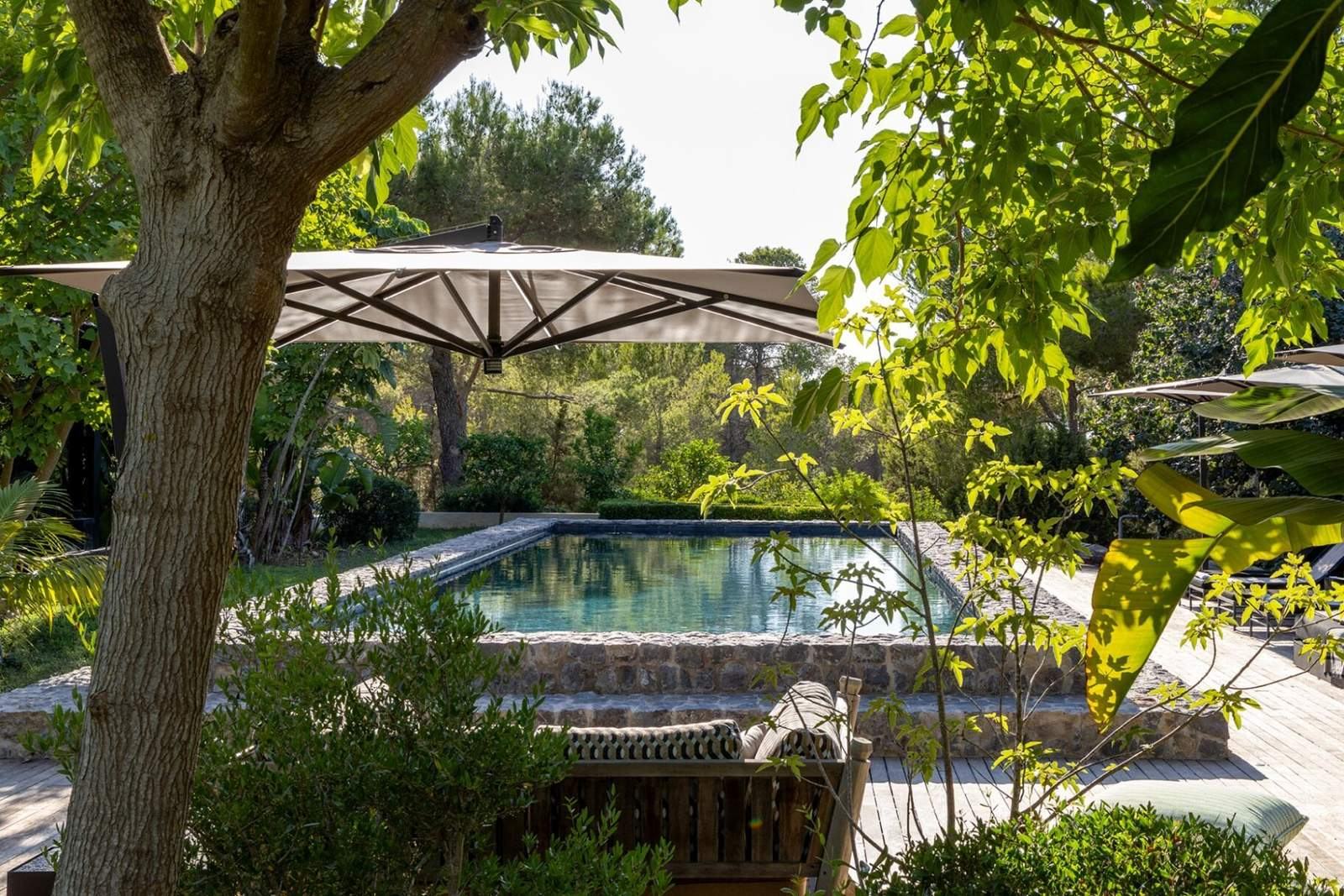 Pool framed by a fig tree and parasol with garden beyond