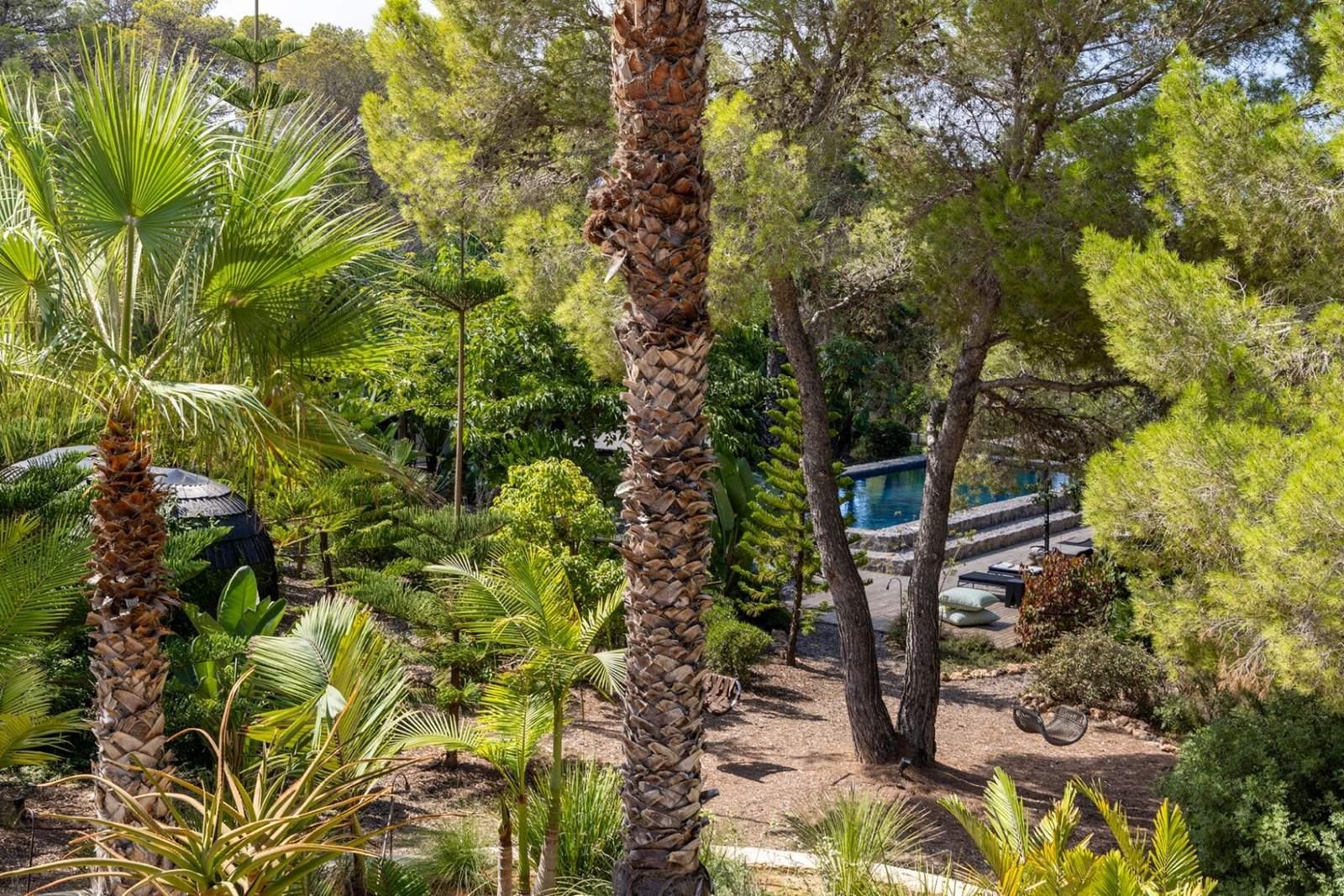 View over palms and umbrella pines down to the pool terrace