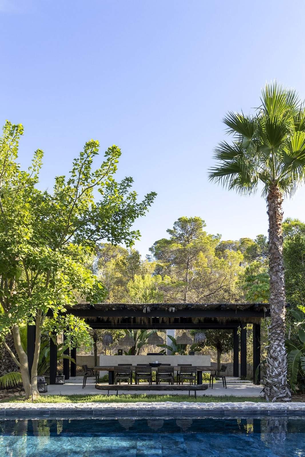 Pool with thatched pavilion framed by a tall palm and pine canopy