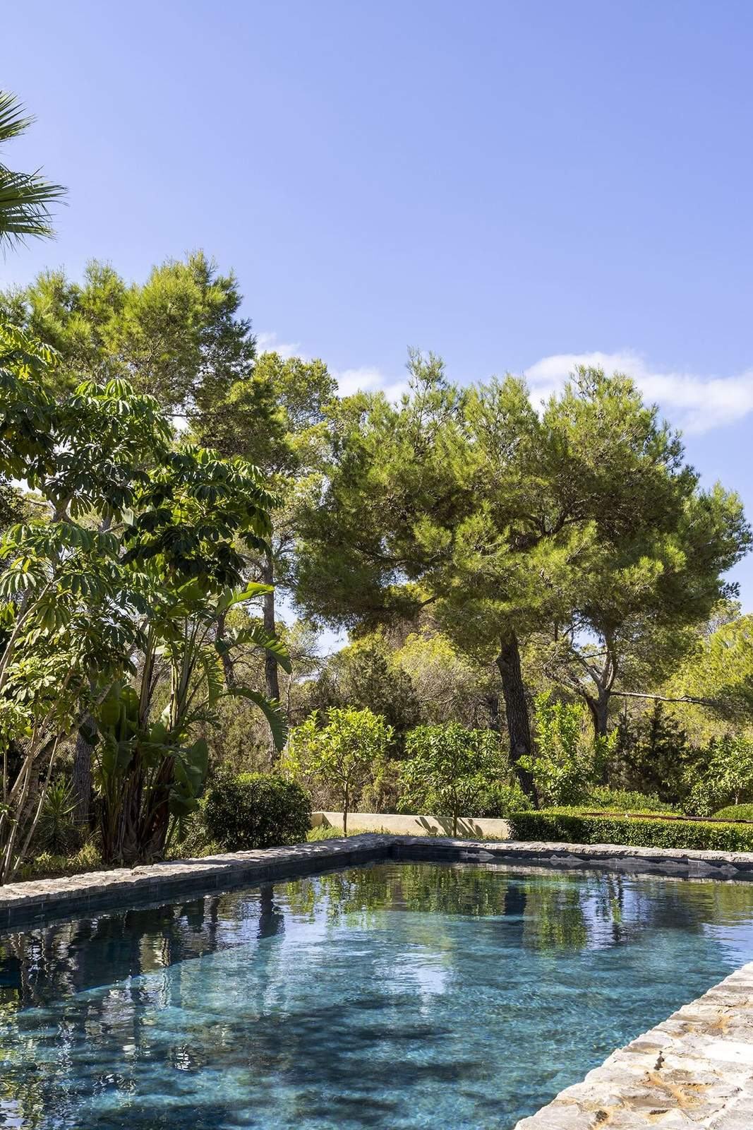 Crystal clear pool reflecting Mediterranean pines and lush garden