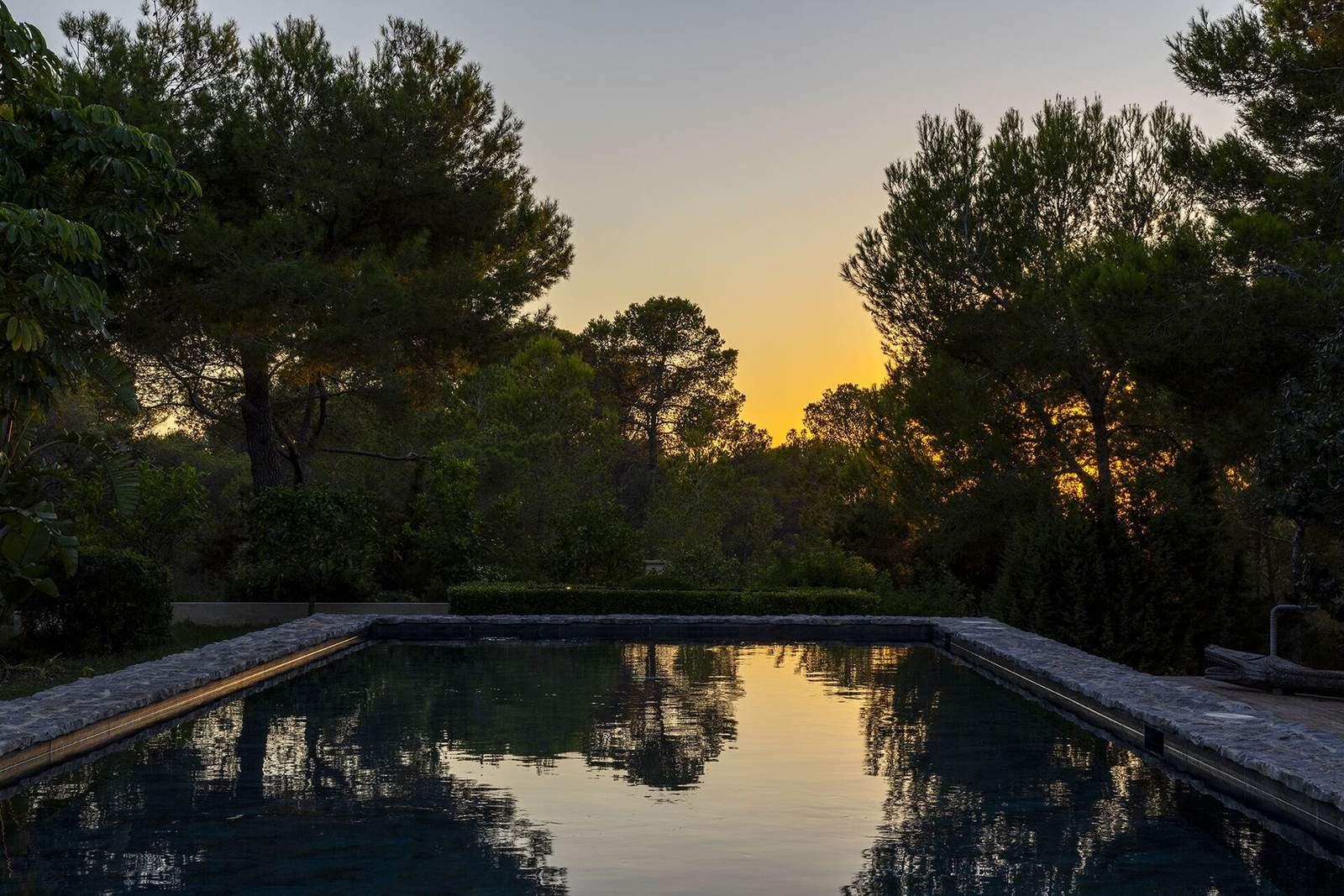 Golden sunset glow behind pine trees reflected in the still pool