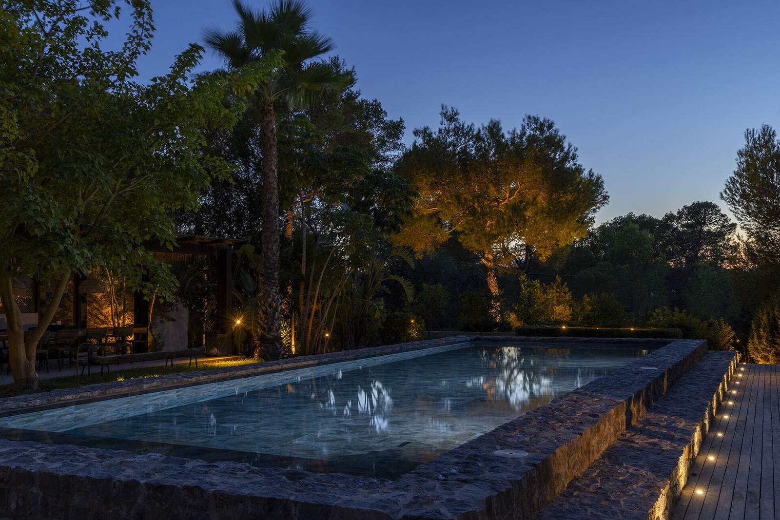 Pool at twilight framed by a tall palm and uplit umbrella pines